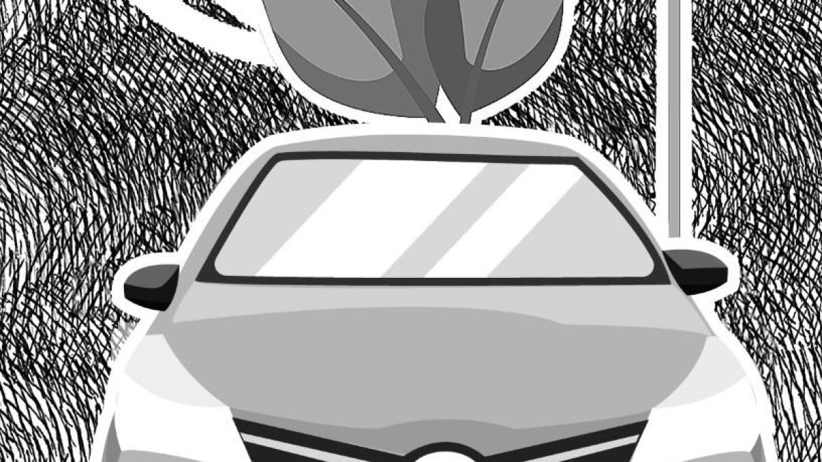 El transporte proporciona un entorno crítico que permite el desarrollo económico y social, estabilizar el cambio climático.