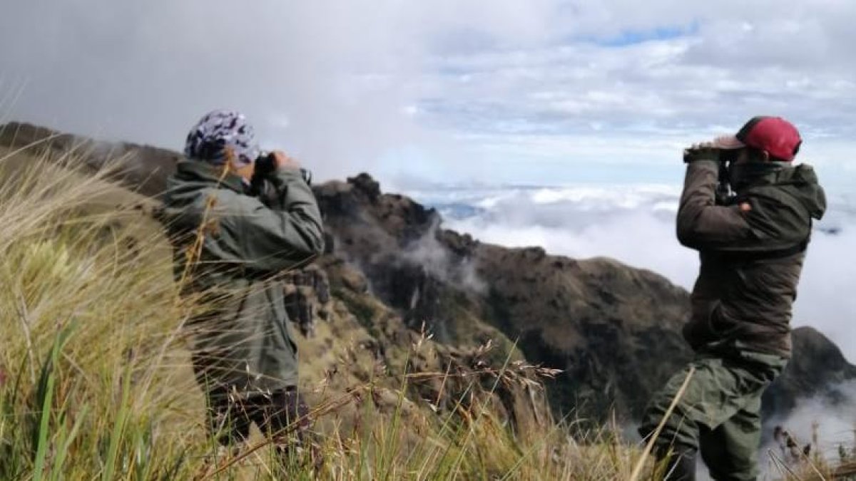 Hubo 16 puntos de observación dentro de las áreas protegidas de distintos parques nacionales y reservas ecológicas del país.