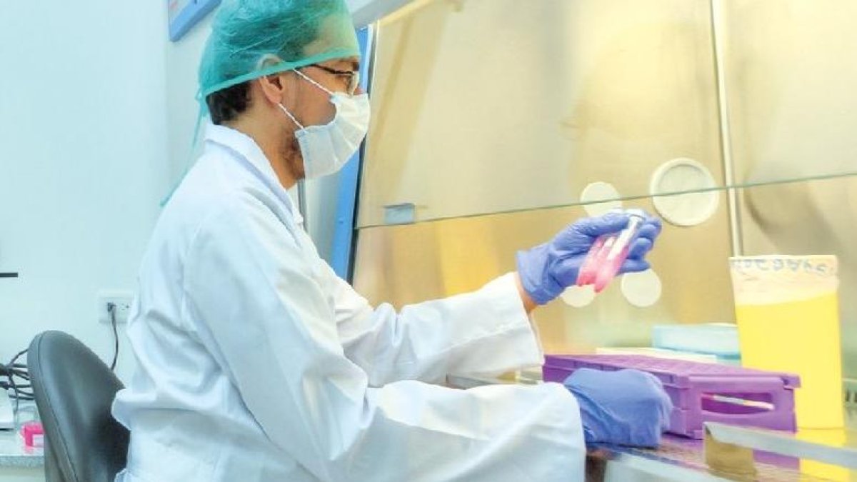 Los autores destacan que gracias a este hallazgo, se podría reducir el tiempo de las personas contagiadas en cuidados intensivos y la mortalidad que deja el virus.