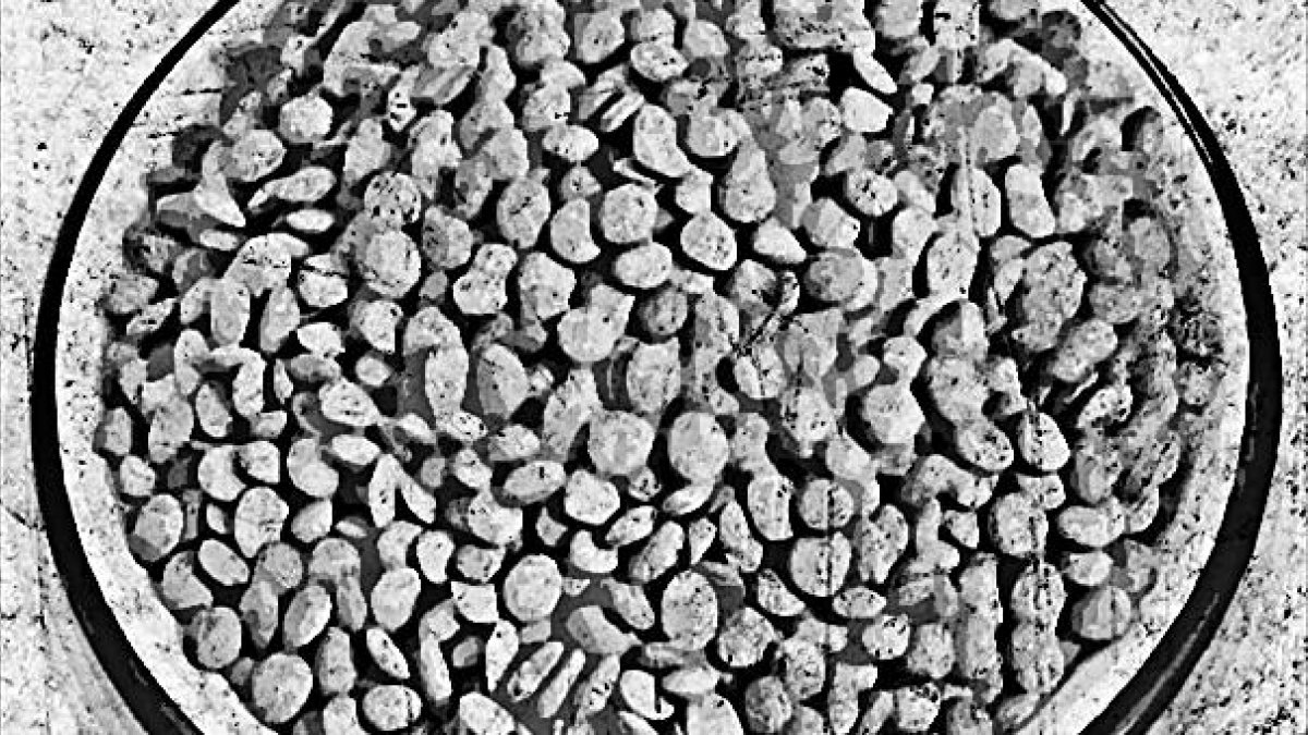 Por un plato de lentejas y 30 monedas de plata.