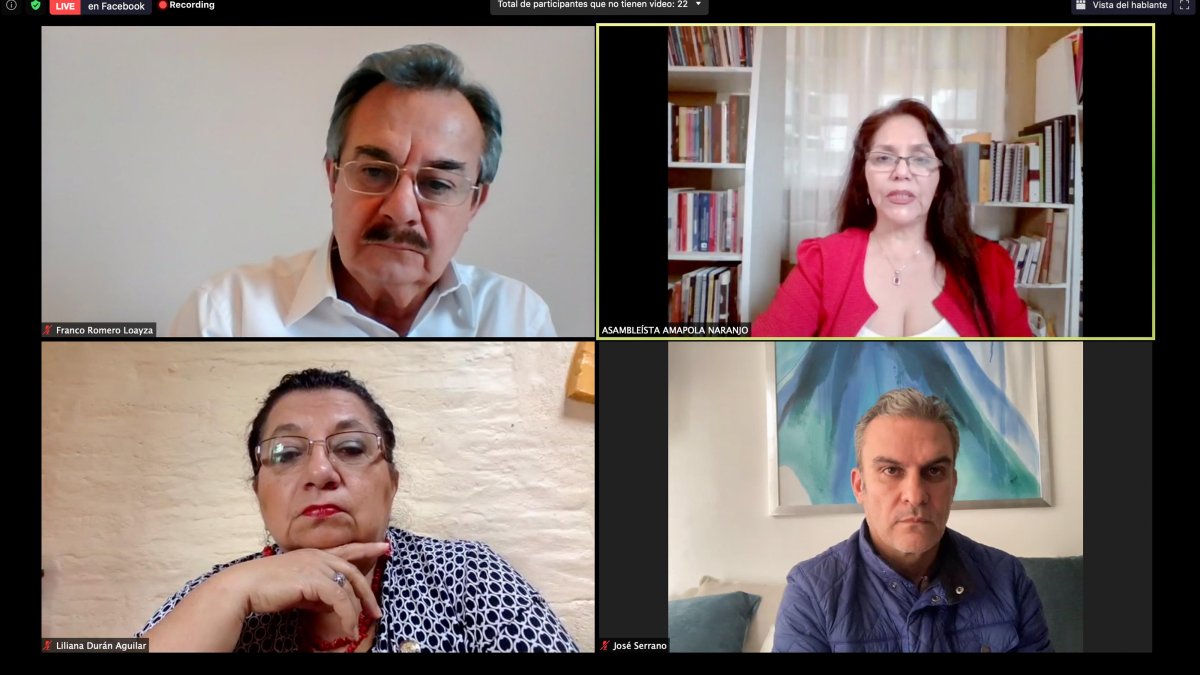 La comisión multipartidista recibió a la legisladora Amapola Naranjo de la Revolución Ciudadana.