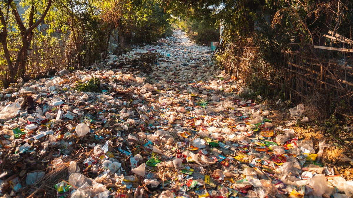 Imagen referencial. Este martes 29 de septiembre se conmemora el primer Día Internacional de Concienciación sobre la Pérdida y el Desperdicio de Alimentos.