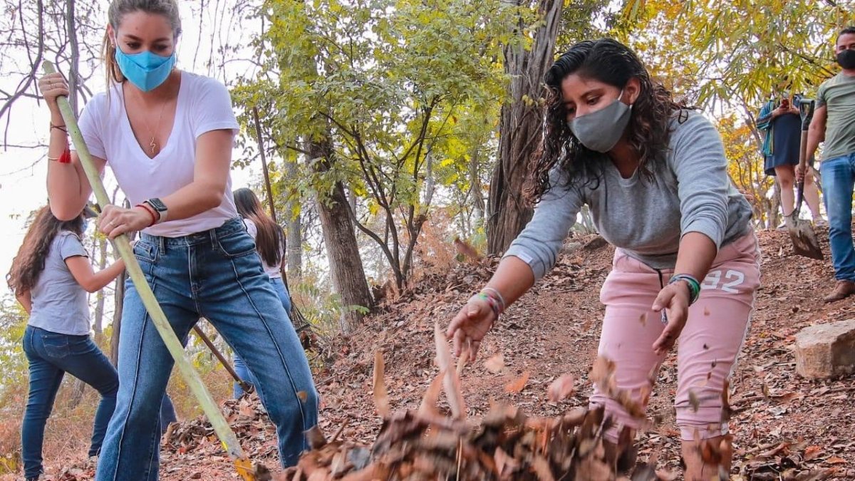 Un grupo de voluntarios de la Red de Zumar realizan trabajos en el Jardín Botánico.