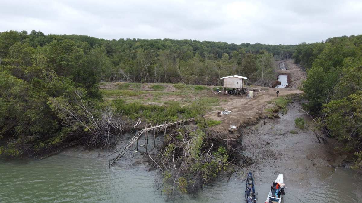Una de las talas que EXPRESO pudo captar durante un recorrido en el golfo.
