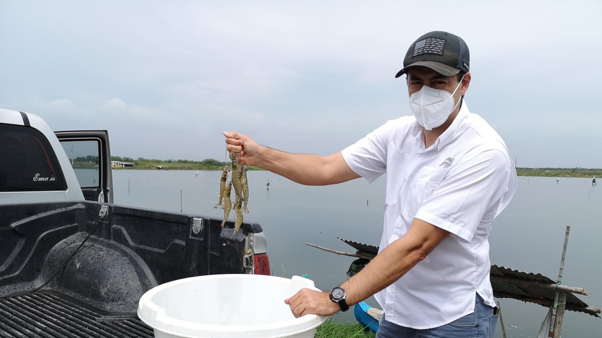 Ecuador vive este año una caída de los precios.