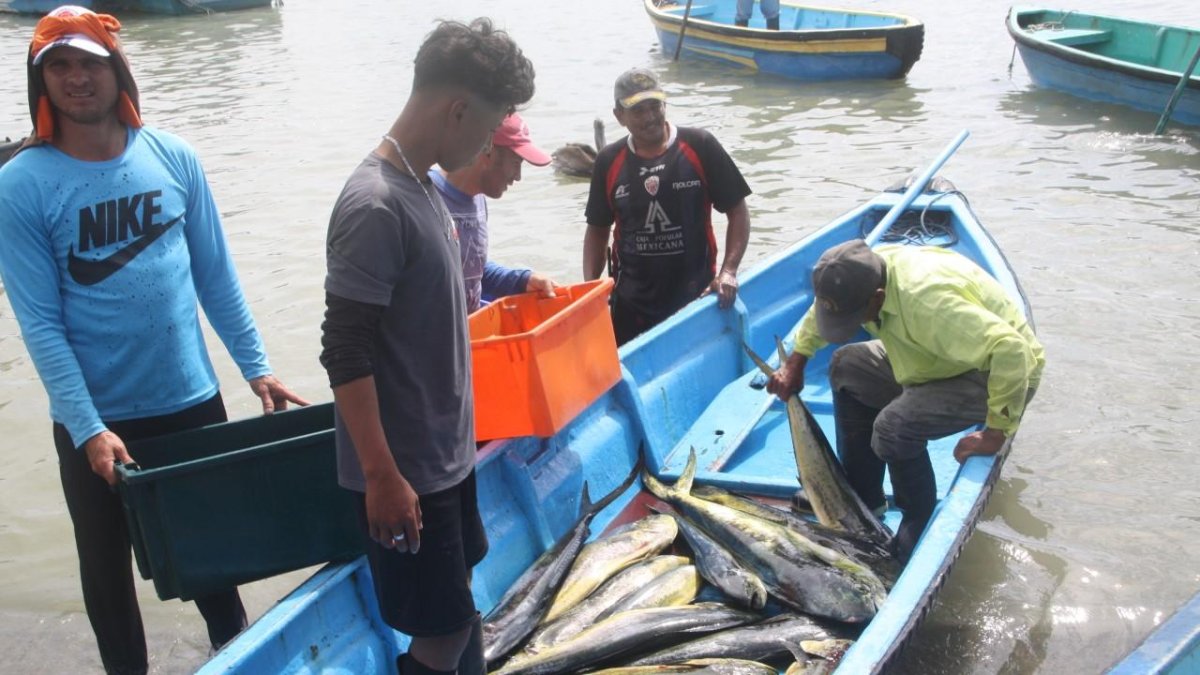 Ecuador. En el país, cerca de 120.000 personas dependen de esta actividad económica, según la FAO.