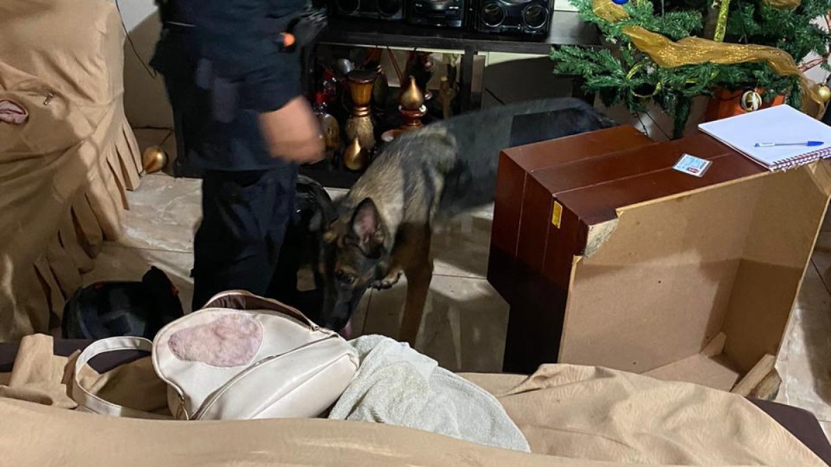 Operativo. La Policía ejecutó una acción policial que permitió el decomiso de sustancias sujetas a fiscalización en Durán.