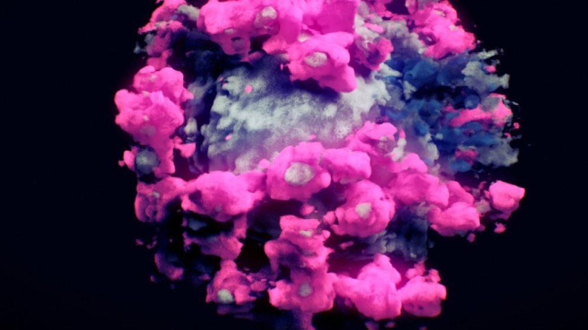 Para obtener la imagen se usó la técnica de tomografía crioelectrónica, en el que la muestra congelada se va escaneando desde distintos ángulos usando un microscopio electrónico.