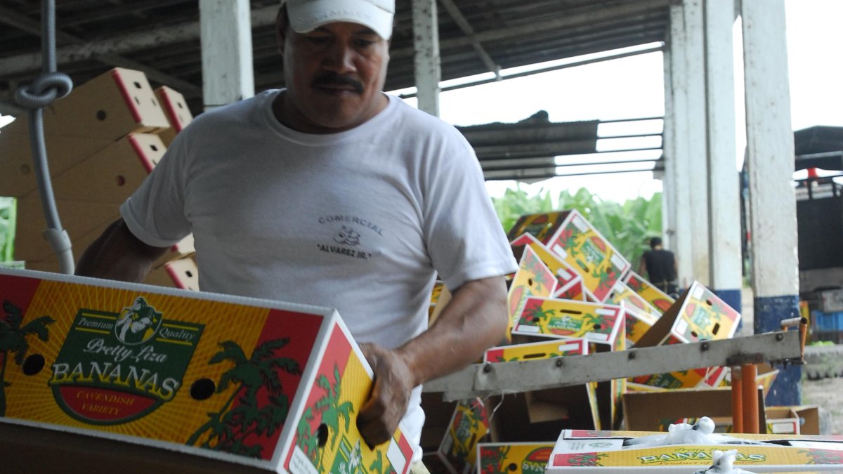 Frutas. El banano encabeza la oferta tradicional que se promoverá.