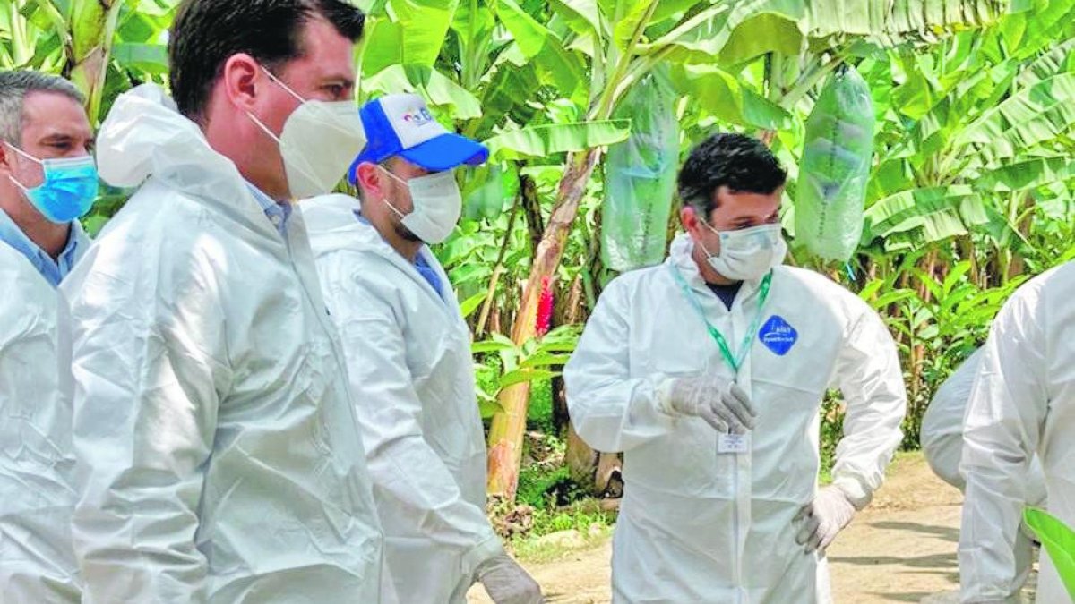Controles. Autoridades realizan simulacros en bananeras de El Oro.