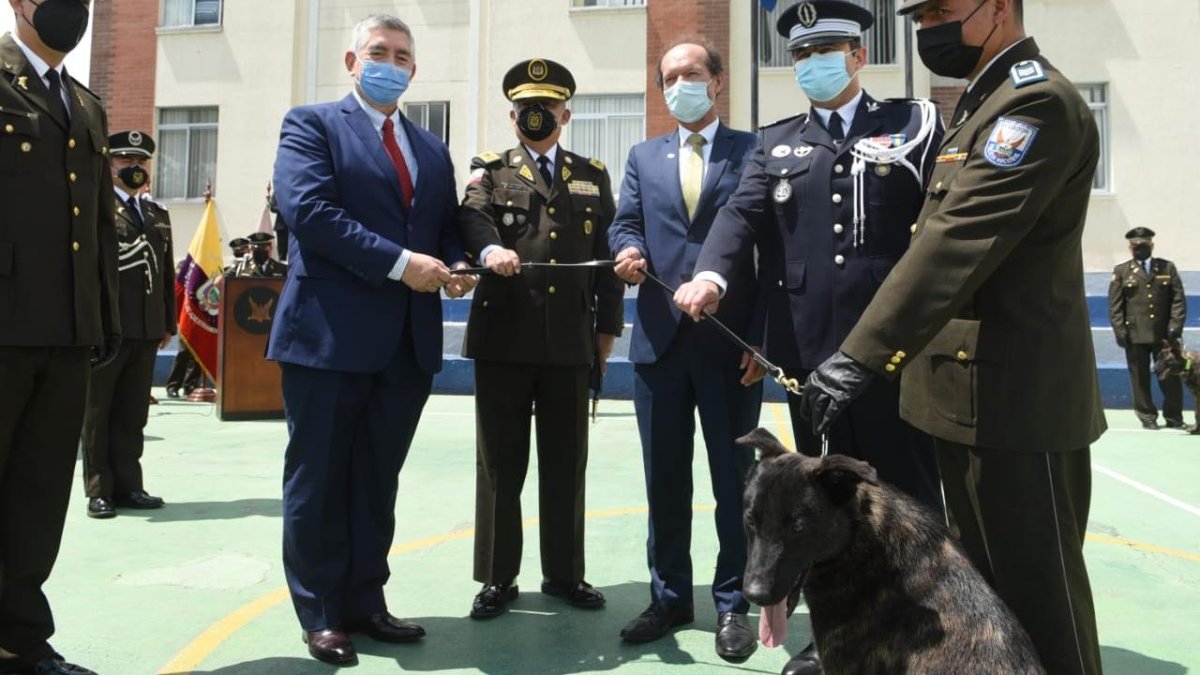 Uno de los canes donados durante el acto de entrega.