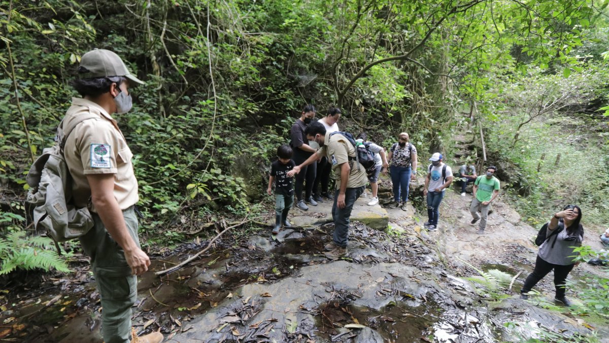 Las jornadas pretenden concienciar sobre el cuidado de la naturaleza.
Agencia (ag-extra)
