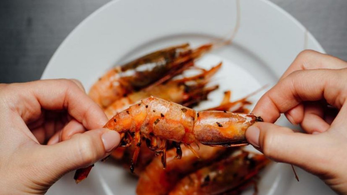 Si ya tiene elevado el ácidu úrico, evite o racione su consumo