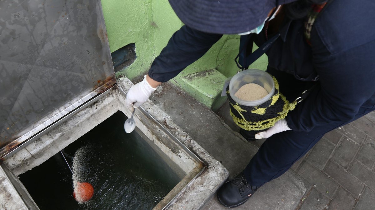 Del tipo de virus que causa problemas hemorrágicos (dengue grave) se registran 43 casos, según los reportes de Salud.