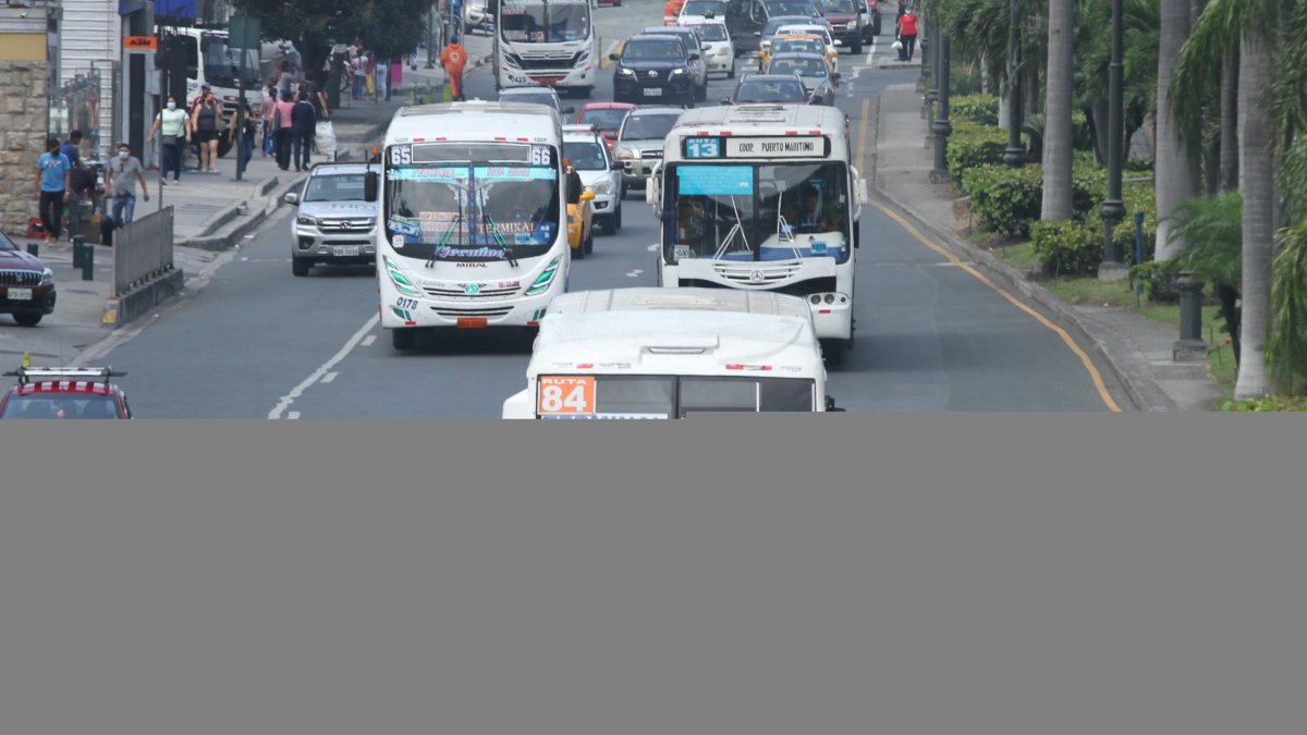 Transporte. Este tema será debatido en el Concejo Cantonal la tarde del jueves.
