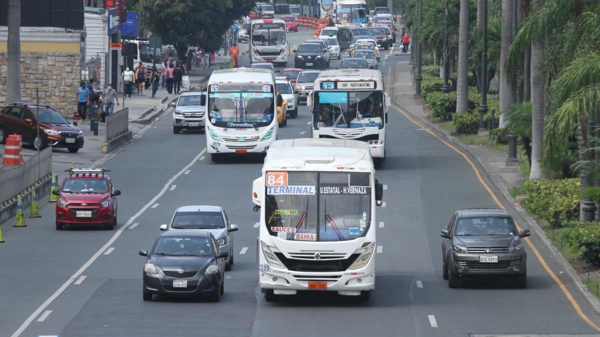 Transporte. Algunos de los buses urbanos que circulan en Guayaquil.