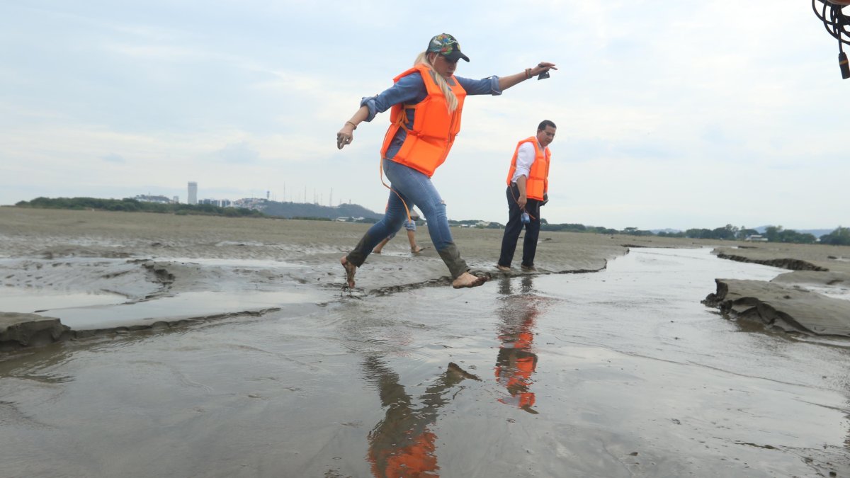 Funcionaria. Durante 45 minutos se caminó por el banco de arena. La actividad la lideró la prefecta del Guayas, Susana González, que nuevamente estuvo acompañada de periodistas.