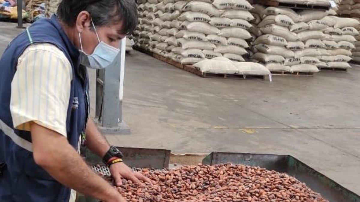Presentación. La verificación se hace sobre el grano y sus subproductos.