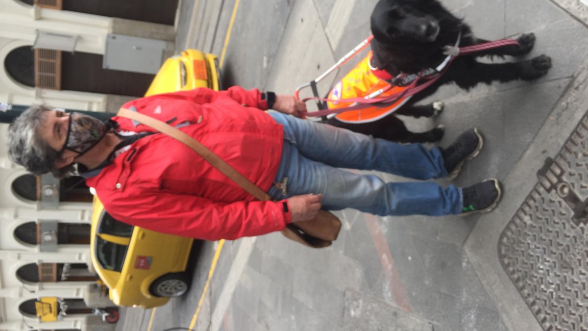 En Ecuador existe una escuela que entrena a perros guía.