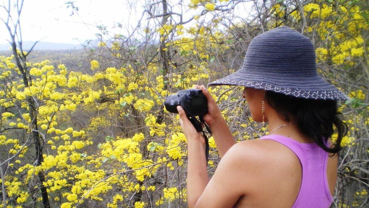 Denuncias. En lugares turísticos donde no haya una Fiscalía, se puede reportar delitos ante la Policía Nacional.