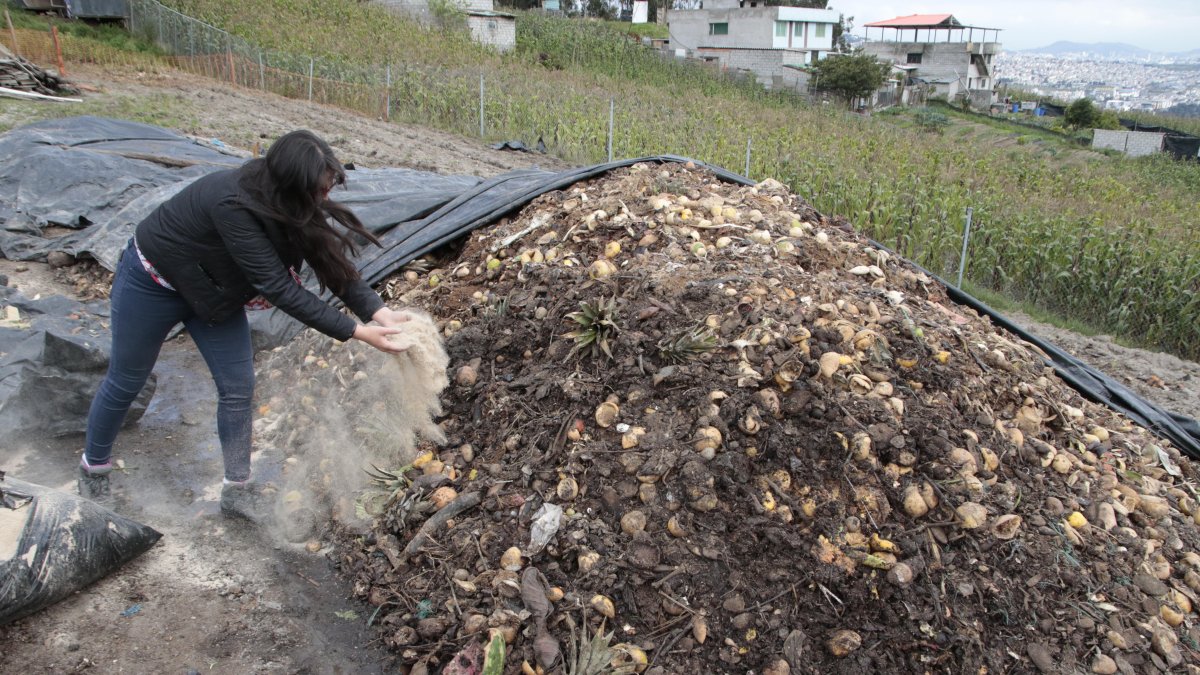 Montañas de basura se convierten en alimento para las plantas.
