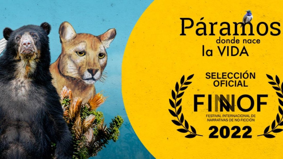 Producida por el Departamento de Cultura Científica de la UTPL, está entre las cuatro finalistas de la categoría Serie Web del Festival Internacional de Narrativas de No Ficción (FINNOF), indicó la Universidad en un comunicado.