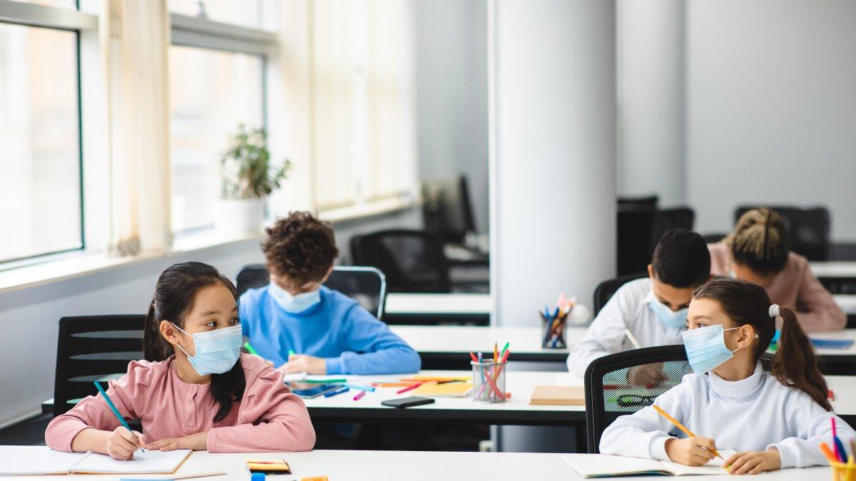 Prepararlos para el retorno es fundamental.