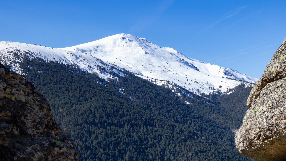 El Pinar de los Belgas es un bosque con una extensión de 2.016 hectáreas situado entre el Valle del Lozoya, entre el Parque Natural de las Lagunas de Peñalara, Rascafría y el Puerto de Cotos.