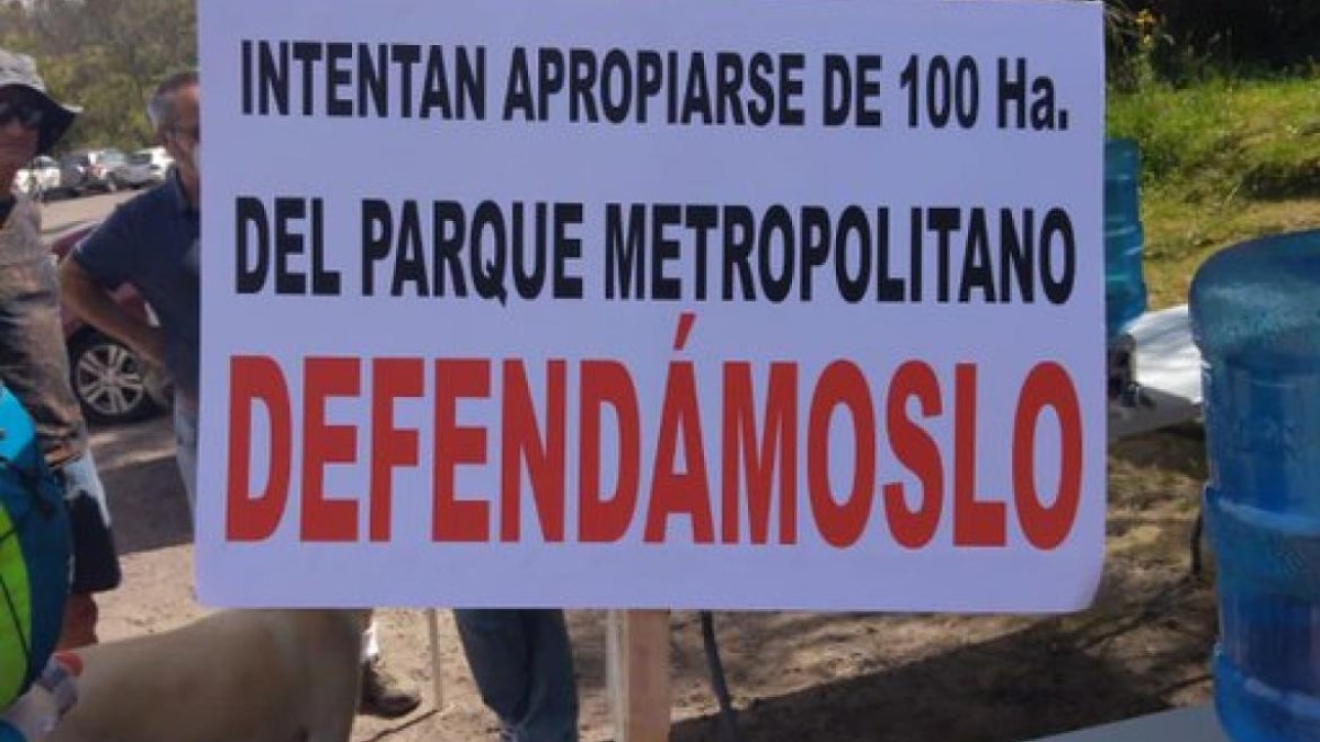 Las opiniones están dividas al respecto