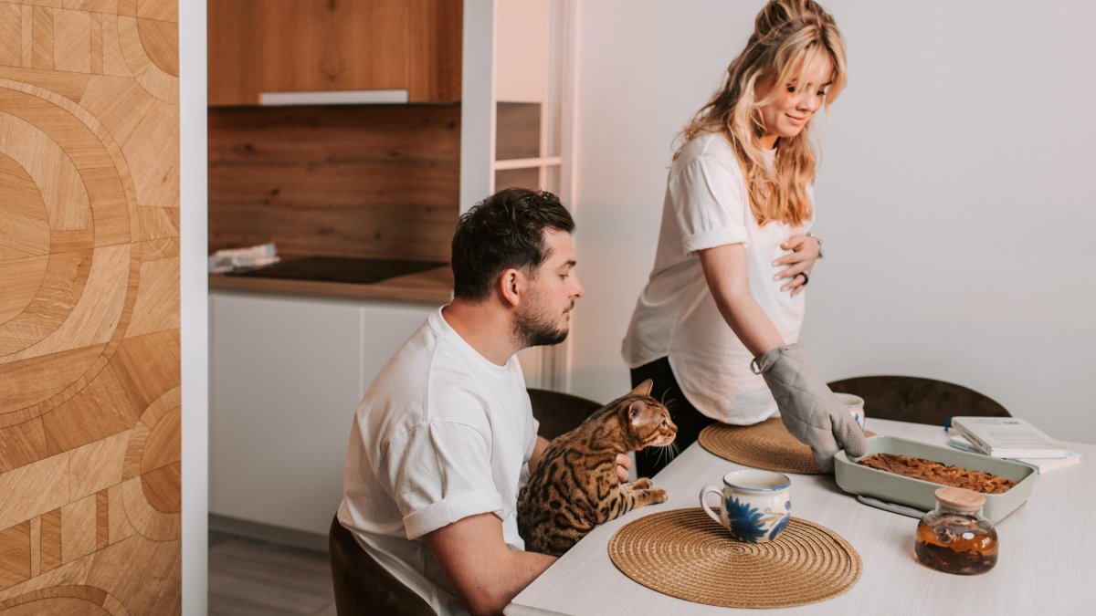 No todo es bueno. Algunos alimentos que los seres humanos consumen son tóxicos y pueden provocarles problemas de salud graves en los gatos.