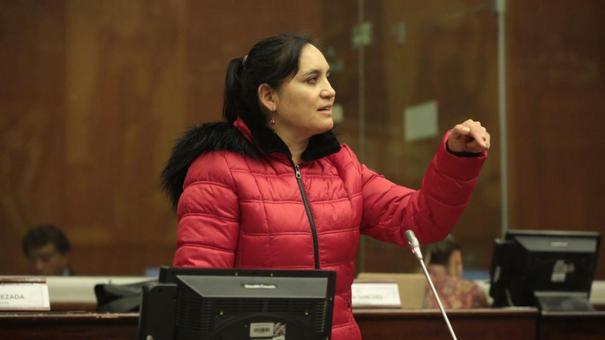 La legisladora de Pachakutik, Mireya Pazmiño, argumentó que el presidente Lasso ya no tiene credibilidad.