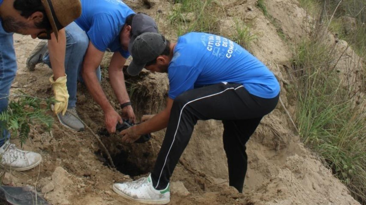 Trabajo.- Voluntarios plantando árboles.