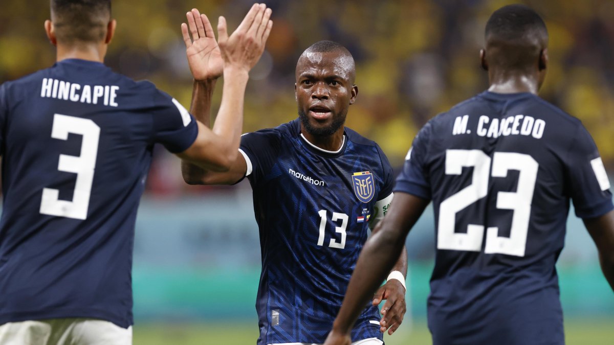 Enner Valencia, delantero tricolor, es felicitado tras marcar el gol del empate ante Países Bajos.
