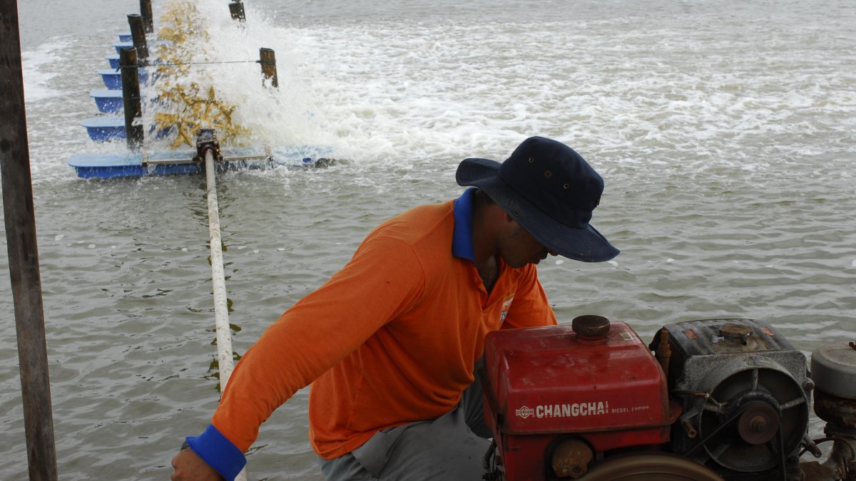 Uso. Además de las bombas, el diésel es usado en sistemas de aireación en piscinas camaroneras.