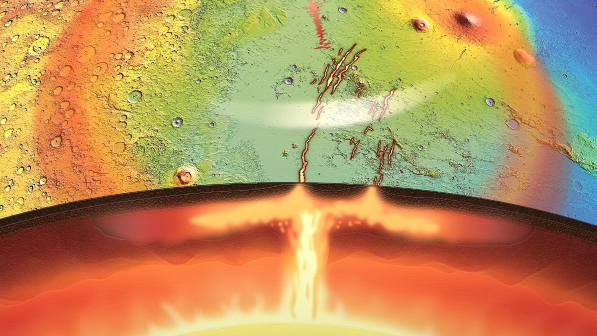 Impresión artística de una pluma activa del manto -una gran masa de roca caliente y flotante- que surge de las profundidades de Marte y empuja hacia Elysium Planitia.