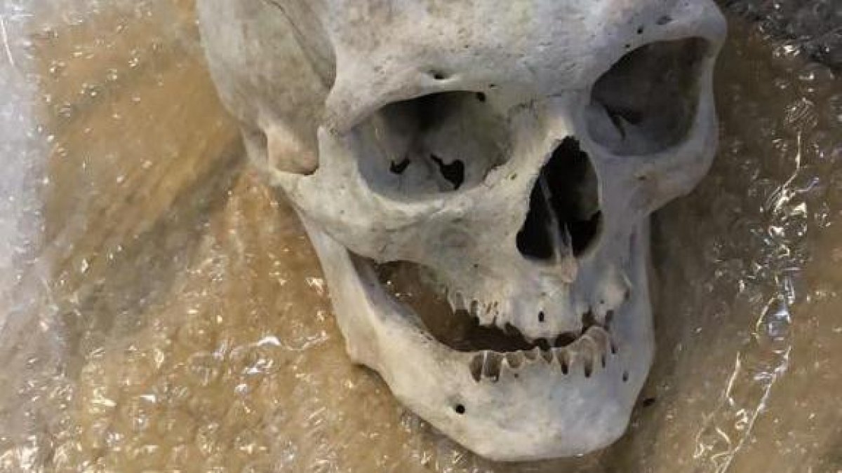 Fotografía sin fecha, cedida por La Dirección General de Aduanas de Argentina.