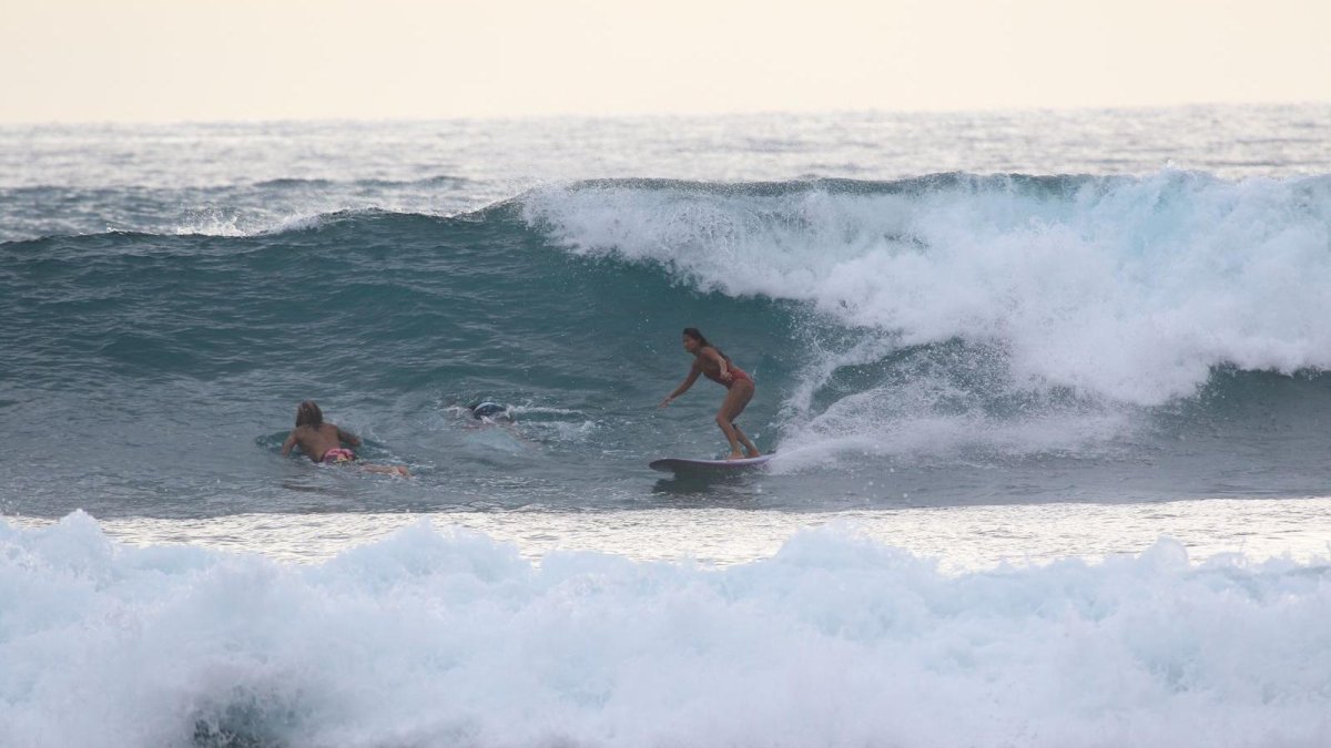 Fanny ha hecho carrera en el surf de la categoría longboard donde ya ha obtenido 5 títulos nacionales en seguidilla.