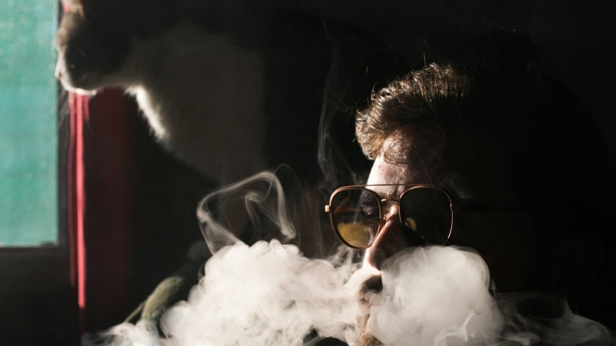 Efectos. Otro aspecto que puede afectar a los animales relacionados con el tabaco y más allá del humo es la intoxicación por nicotina.