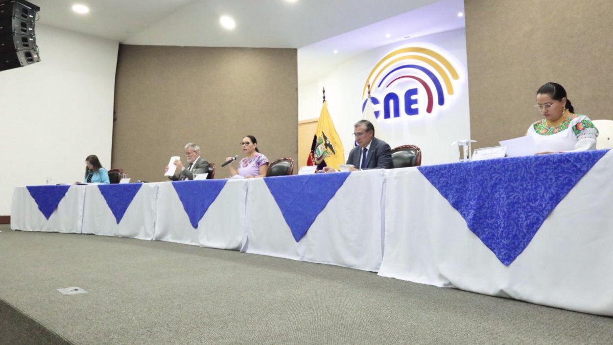 El pleno del Consejo Nacional Electoral resolverá los procesos de inscripción con falencias