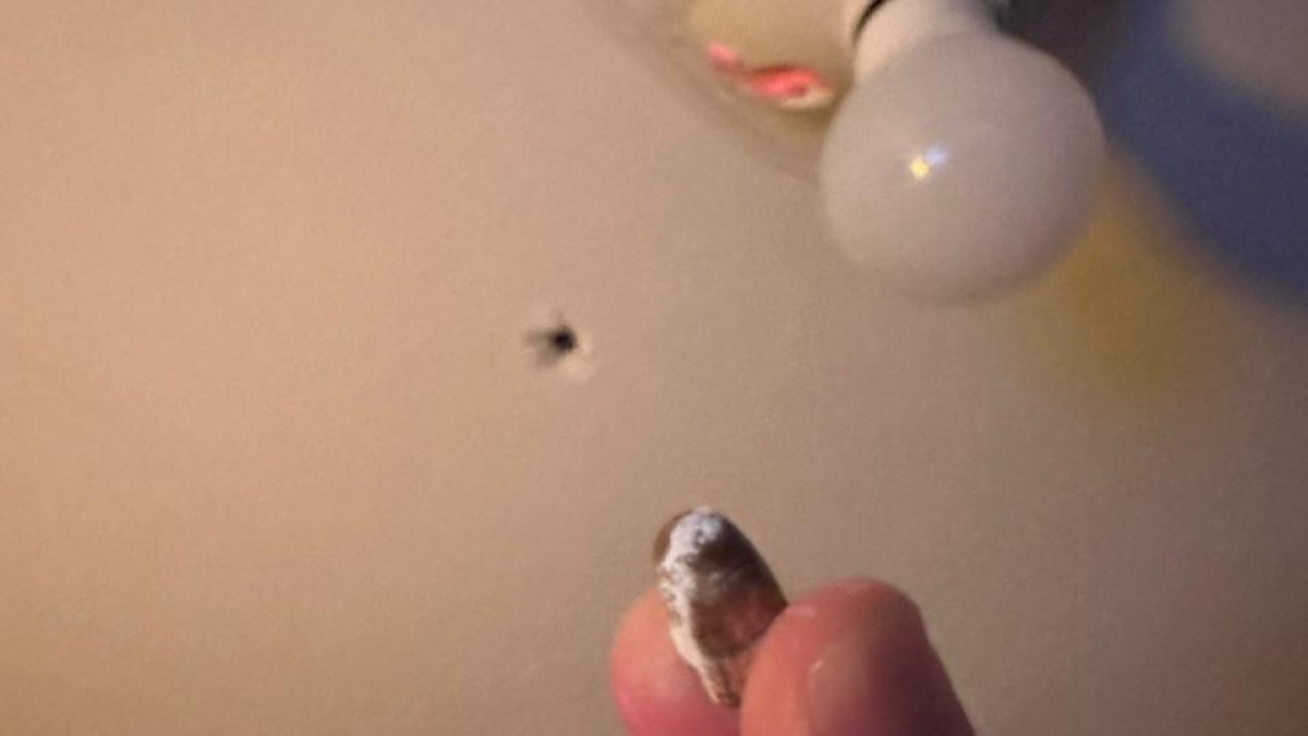 Evidencia: La bala ingresó a la vivienda por el techo y cayó en un dormitorio ubicado en la planta alta.