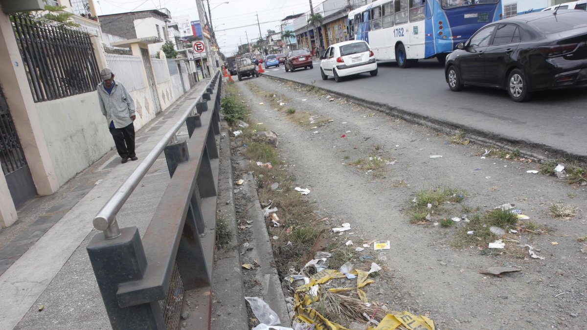 Situación. Un tramo de la calle Venezuela, donde se levantan algunas paradas.