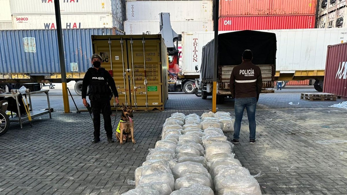 Carga de cocaína hallada en un puerto de Guayaquil.
