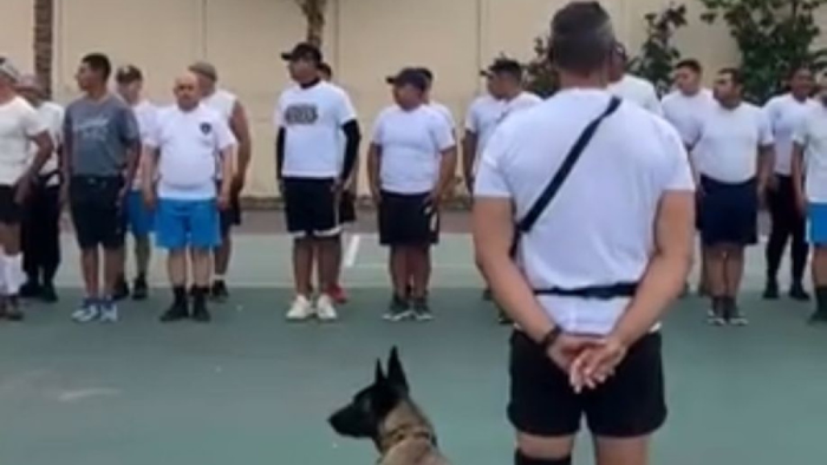 Los agentes se preparan físicamente con Segura EP.