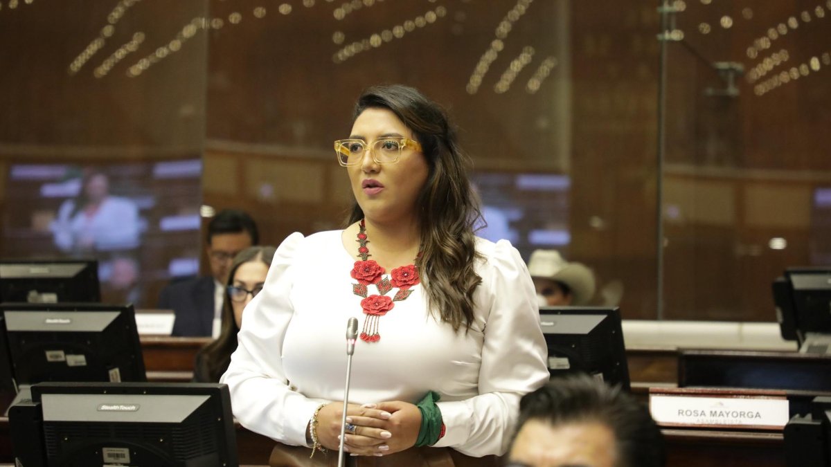La asambleísta del correísmo, Gissela Garzón, presentó la solicitud de juicio político contra la fiscal Salazar.