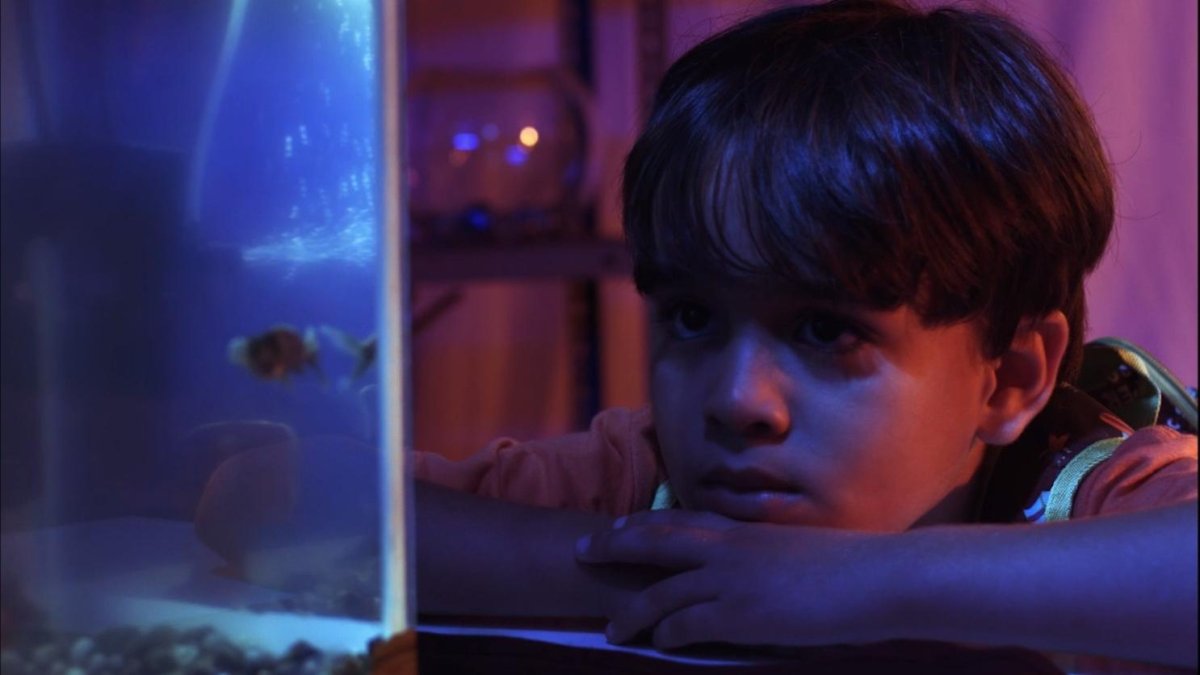 Escena. Los cortometrajes son creados por estudiantes.