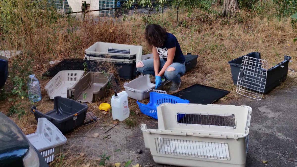 Petia Petrova, voluntaria búlgara que participa en las misiones de evacuación en Avdivka y colabora en el rescate de animales con la organización UAnimals