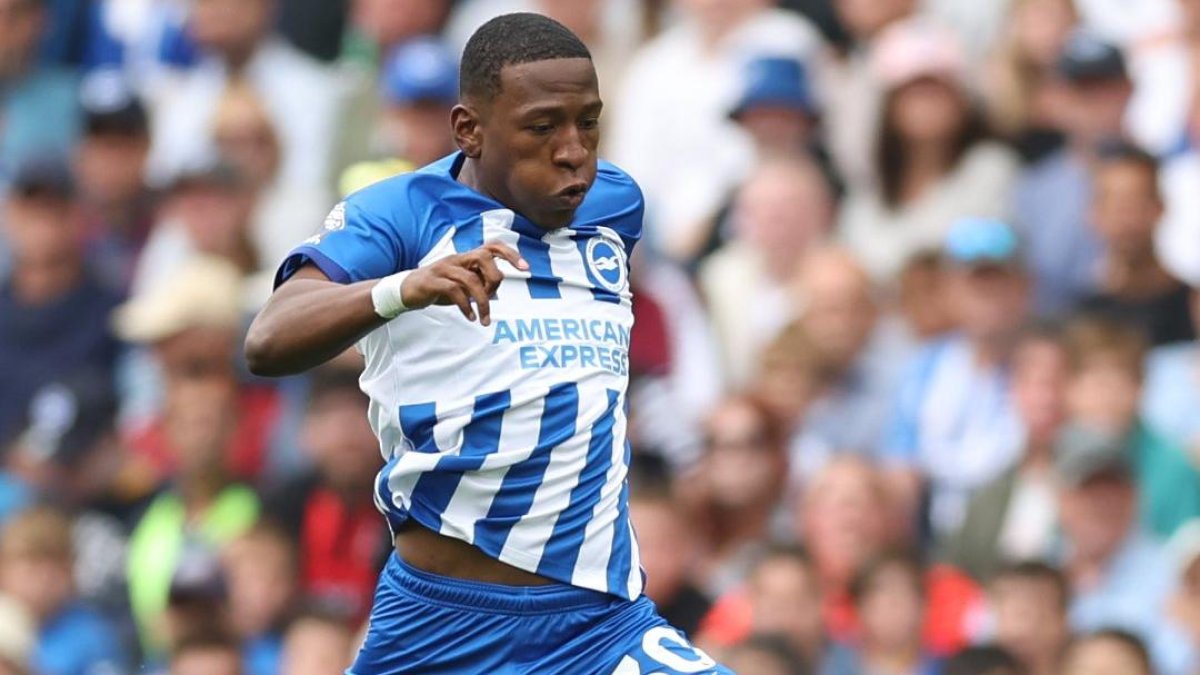 Pervis Estupiñán jugará de titular en Brighton ante Sheffield