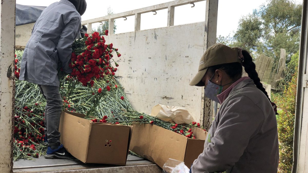 Productores de Cotopaxi mostraron su preocupación por una traba en las ventas.