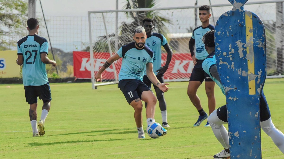 Delfín y plantilla en 2024.