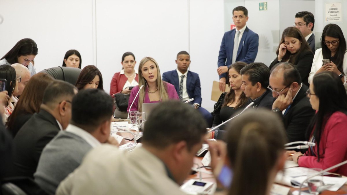 La presidenta del CPCCS, Nicole Bonifaz, asistió al llamado de Fiscalización.